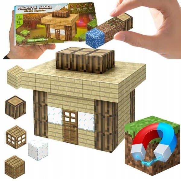 Minecraft Magnetic Building House