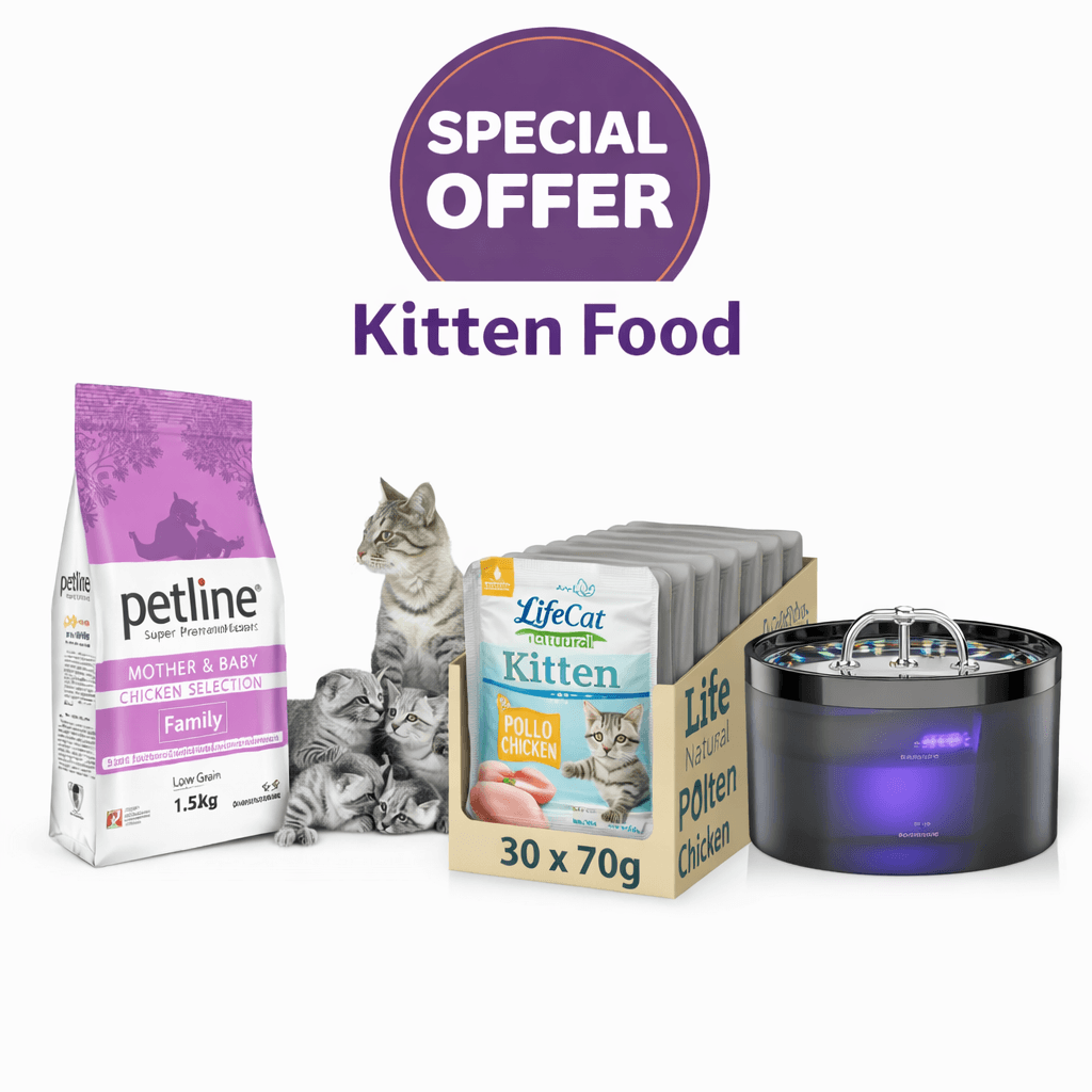 Kitten Offer