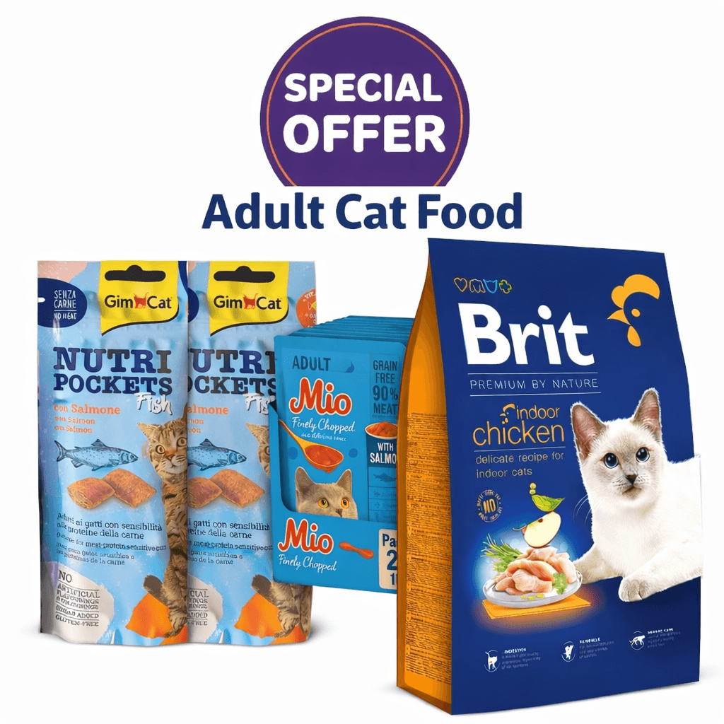Adult Cat Offer