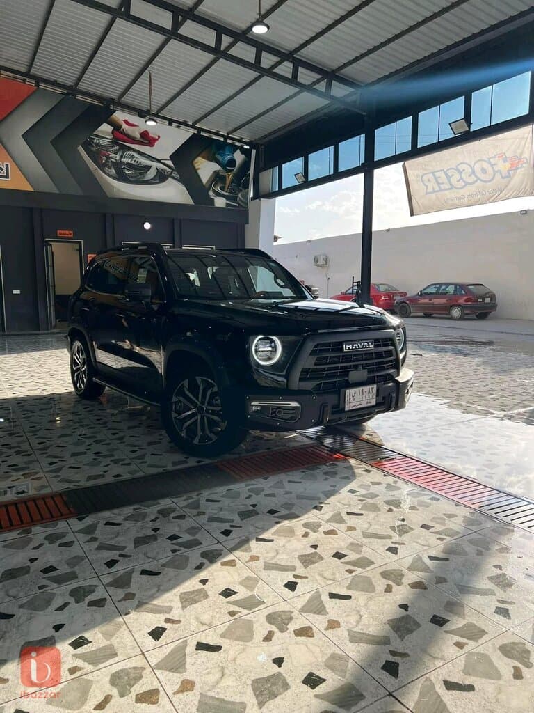 Haval Dargo Sport — photo 13