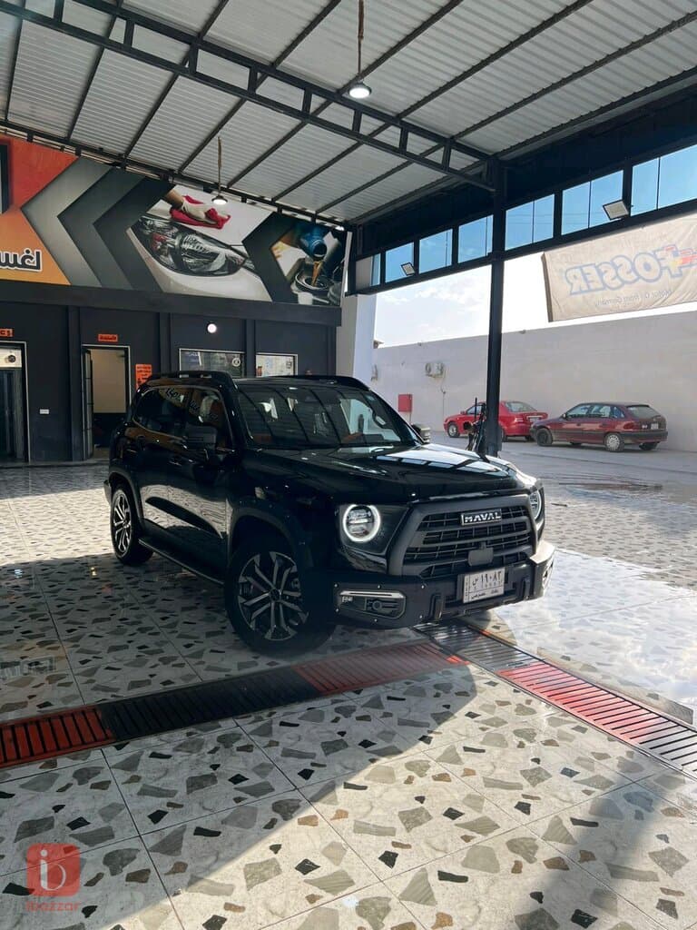 Haval Dargo Sport — photo 10