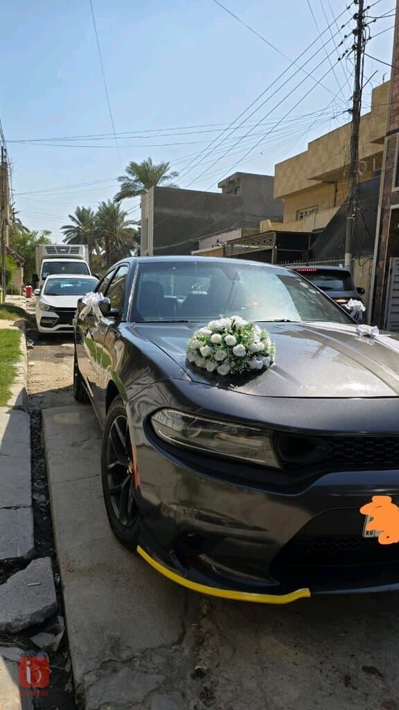 Dodge Charger SXT 2