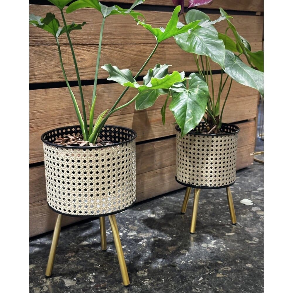 Oster Flower Pot And Stand Set of 2 - 71031