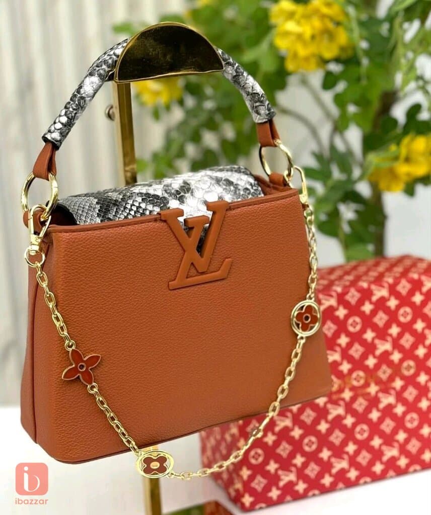 Louis Vuitton luxury bag 2