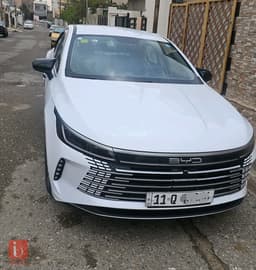 BYD Destroyer — photo 1