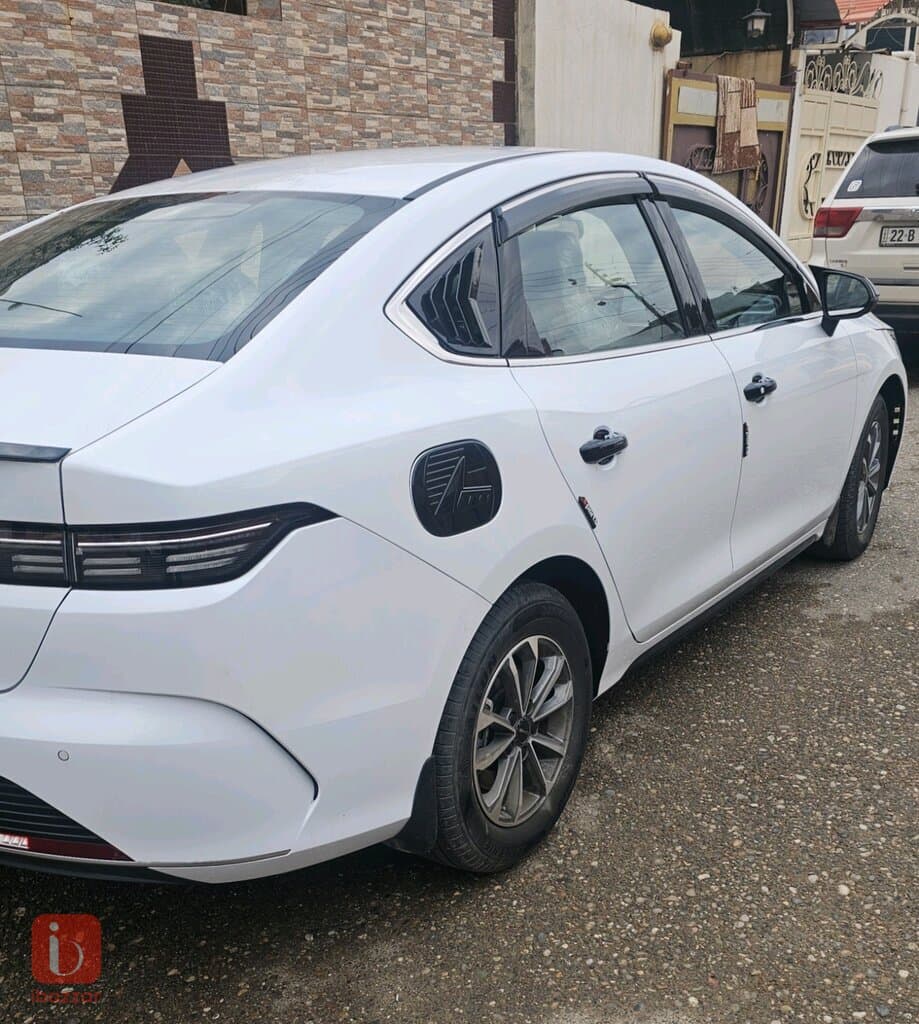 BYD Destroyer — photo 4