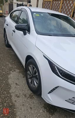 BYD Destroyer — photo 6