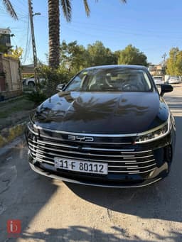 BYD Destroyer — photo 1
