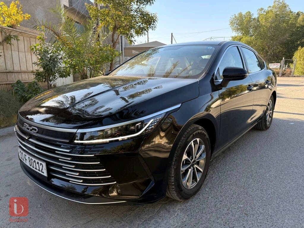 BYD Destroyer — photo 8