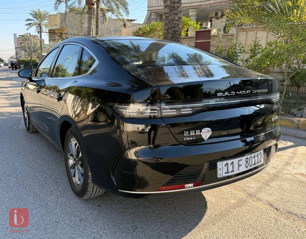 BYD Destroyer — photo 9