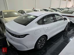 BYD Destroyer — photo 4