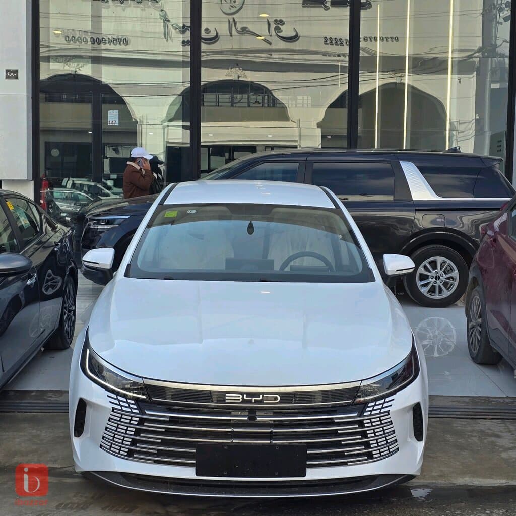 BYD Destroyer — photo 2