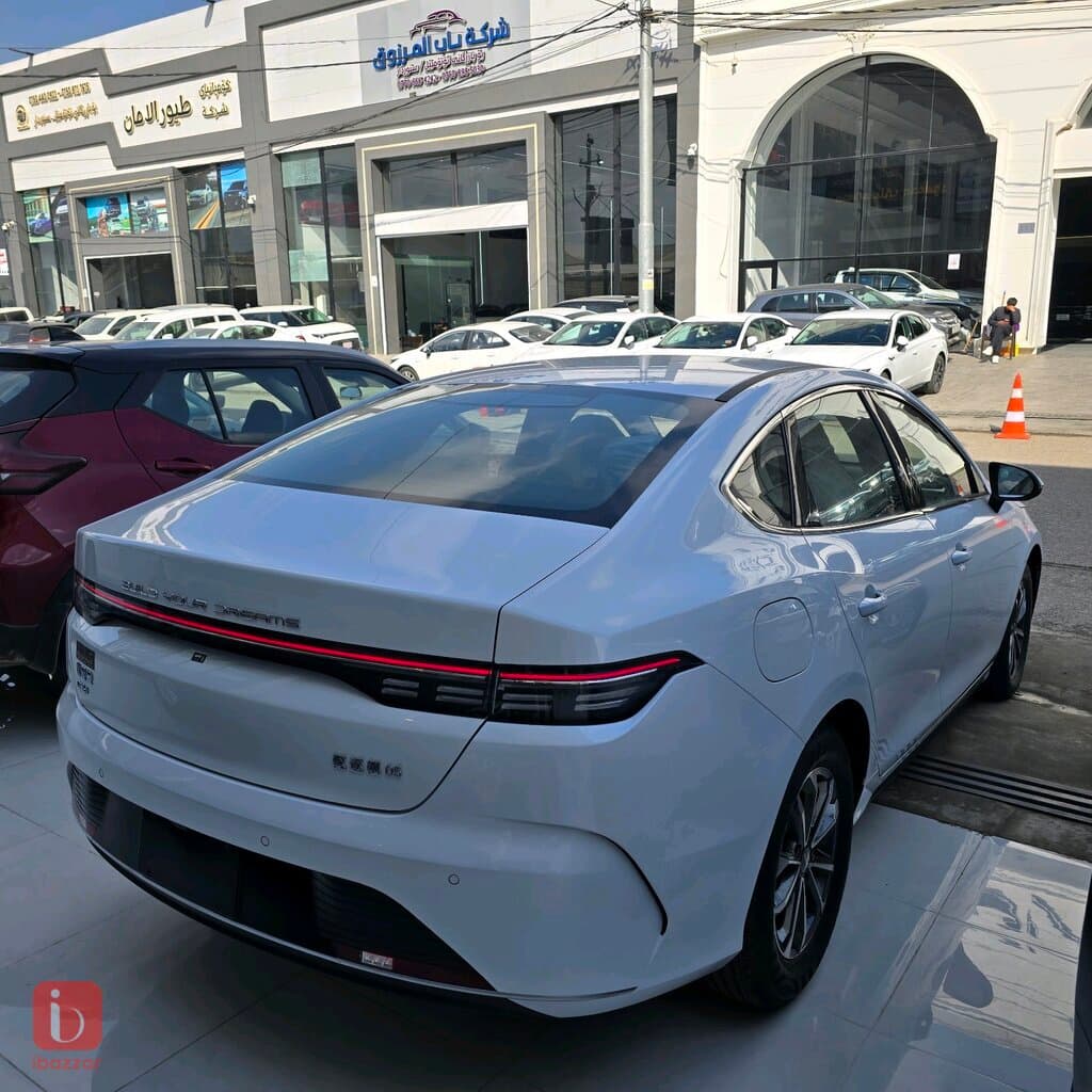 BYD Destroyer — photo 5