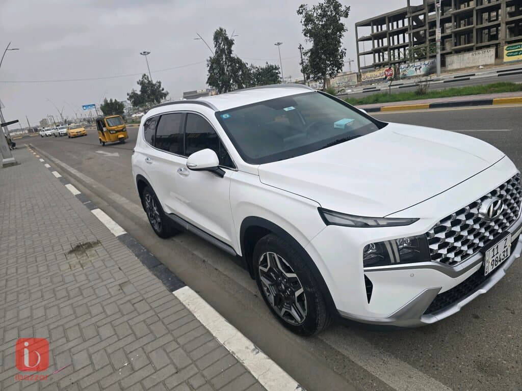 Hyundai Santa Fe Standard 8