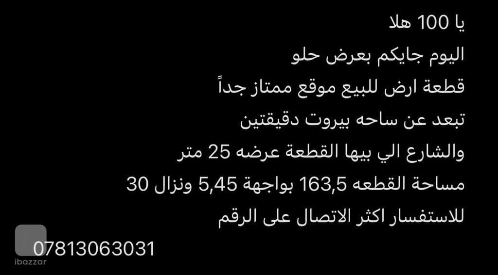 Residential plot for sale in baghdad palestine street 2