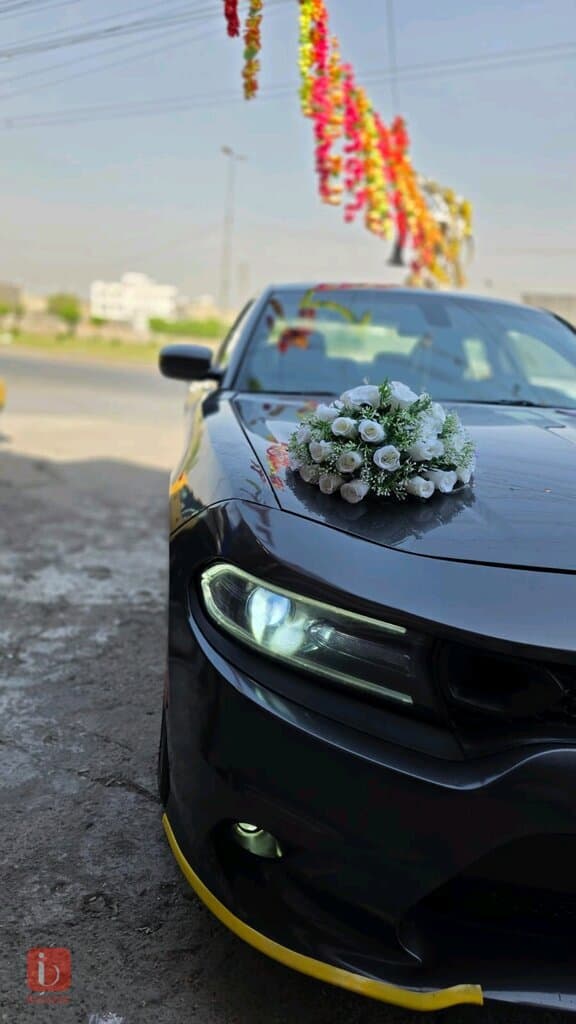 Dodge Charger SXT 3