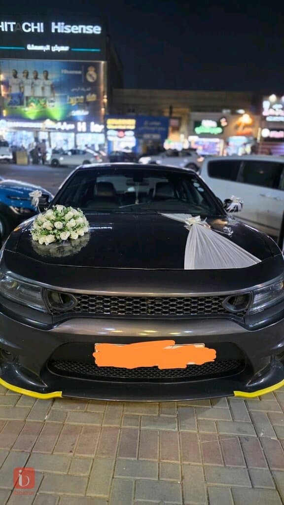 Dodge Charger SXT 5