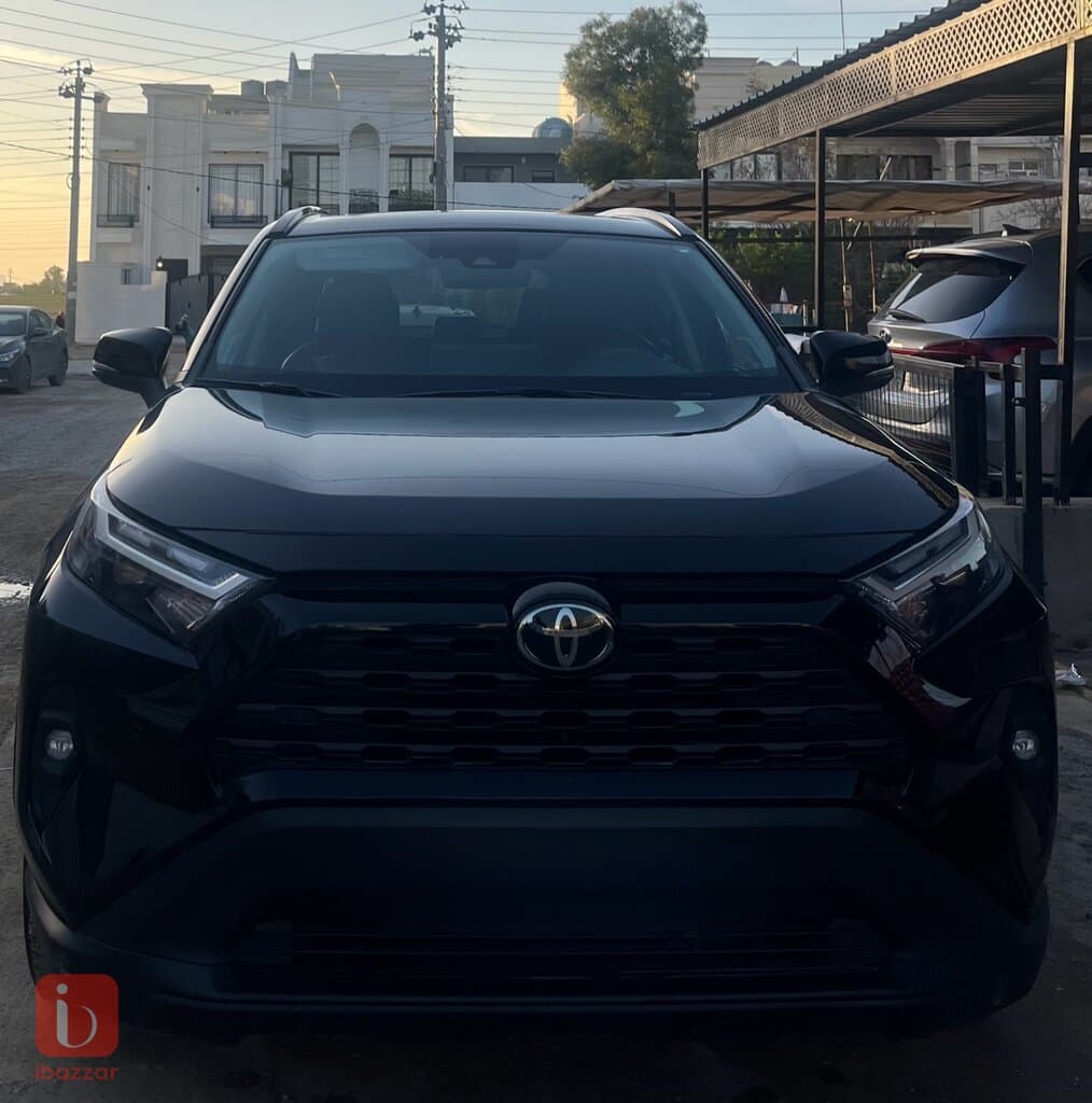 Toyota Rav 4 XLE 9