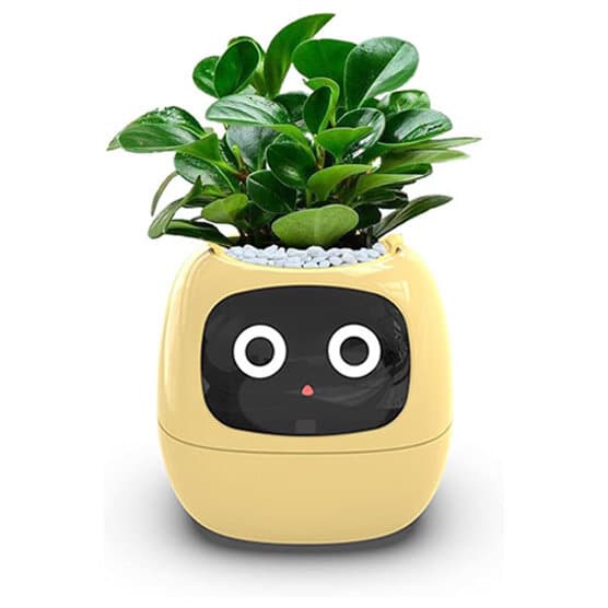 Smart Flower Pot - Yellow