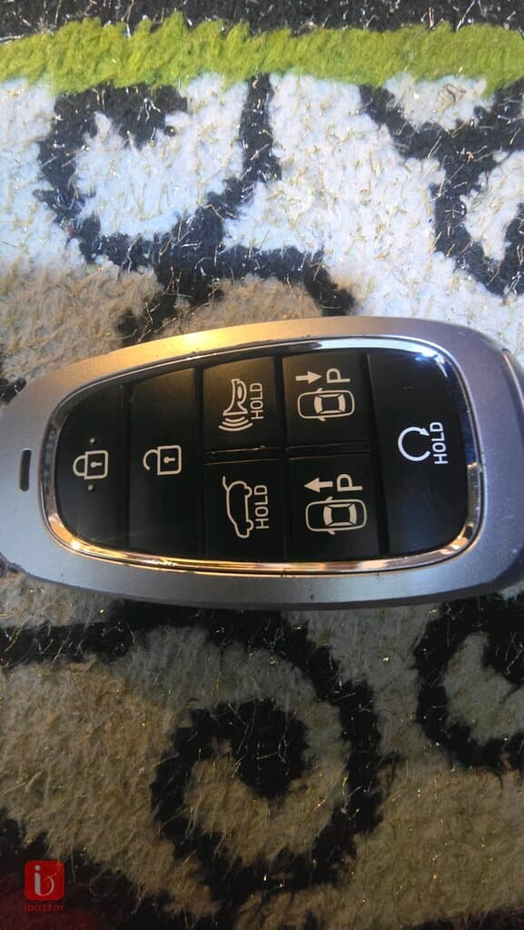 Hyundai Santa Fe GLS TOP 13