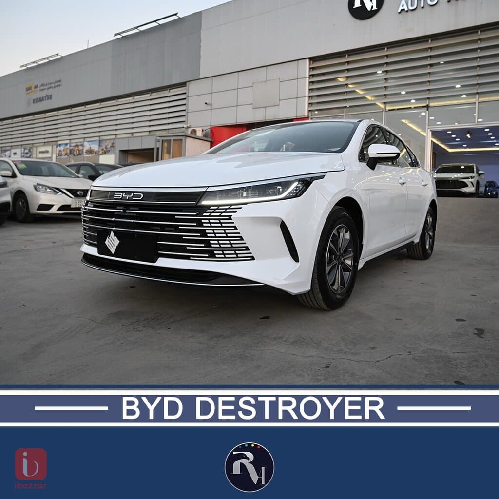 BYD Destroyer — photo 2