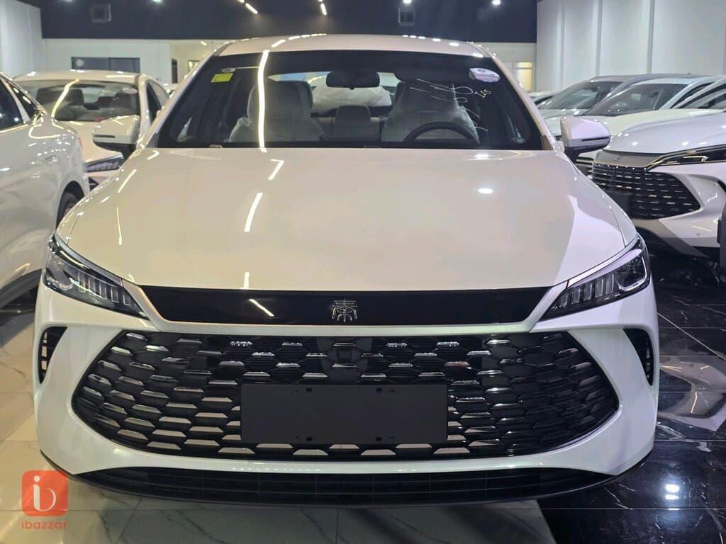 BYD Destroyer