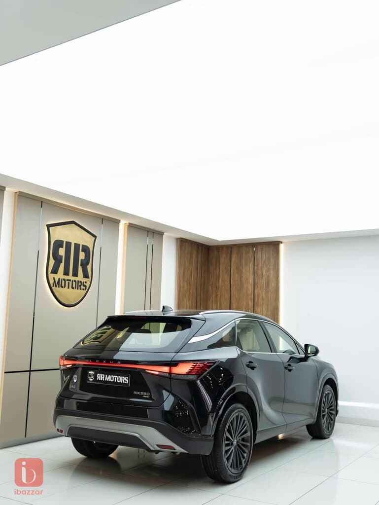 Lexus RX-Series 11