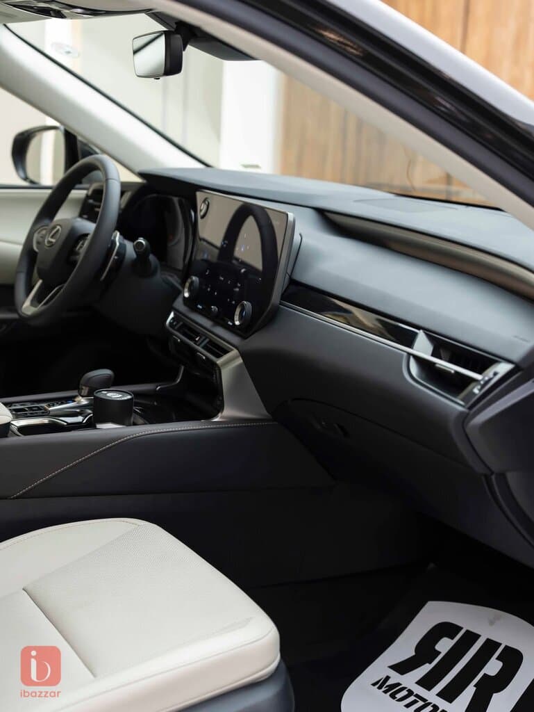 Lexus RX-Series 6