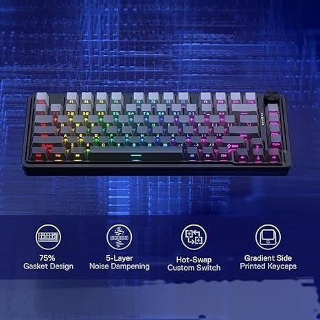 Redragon K673 gb 75% Wireless Gasket RGB Gaming Keyboard (Black) 6