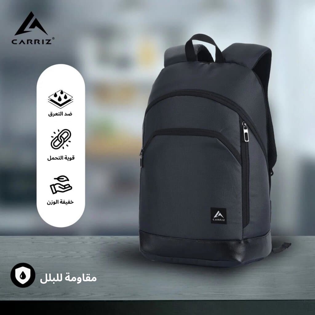 Raph Backpack (Gray) 4