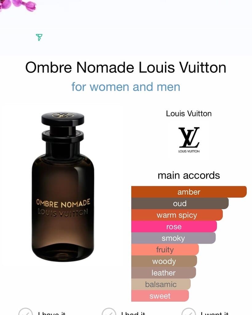 LOUIS VUITTON Ombre Nomade - EDP (100ml) 4
