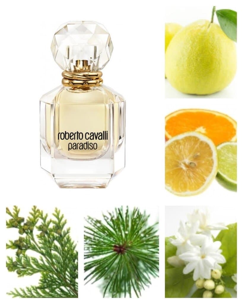 Roberto Cavalli Paradiso - EDP (75ml) 3