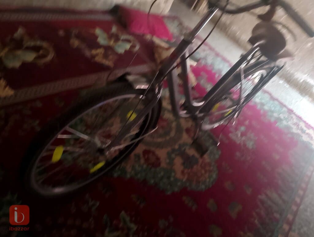 الصالحيه شارع القأد