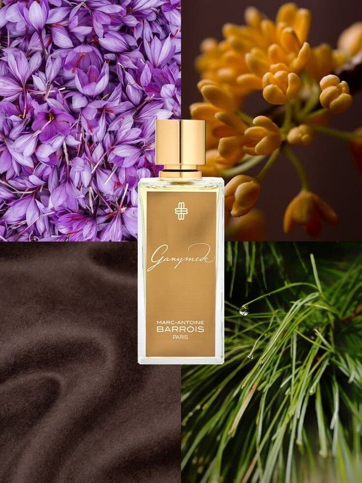 Marc-Antoine Barrois Ganymede - EDP (100ml) 3