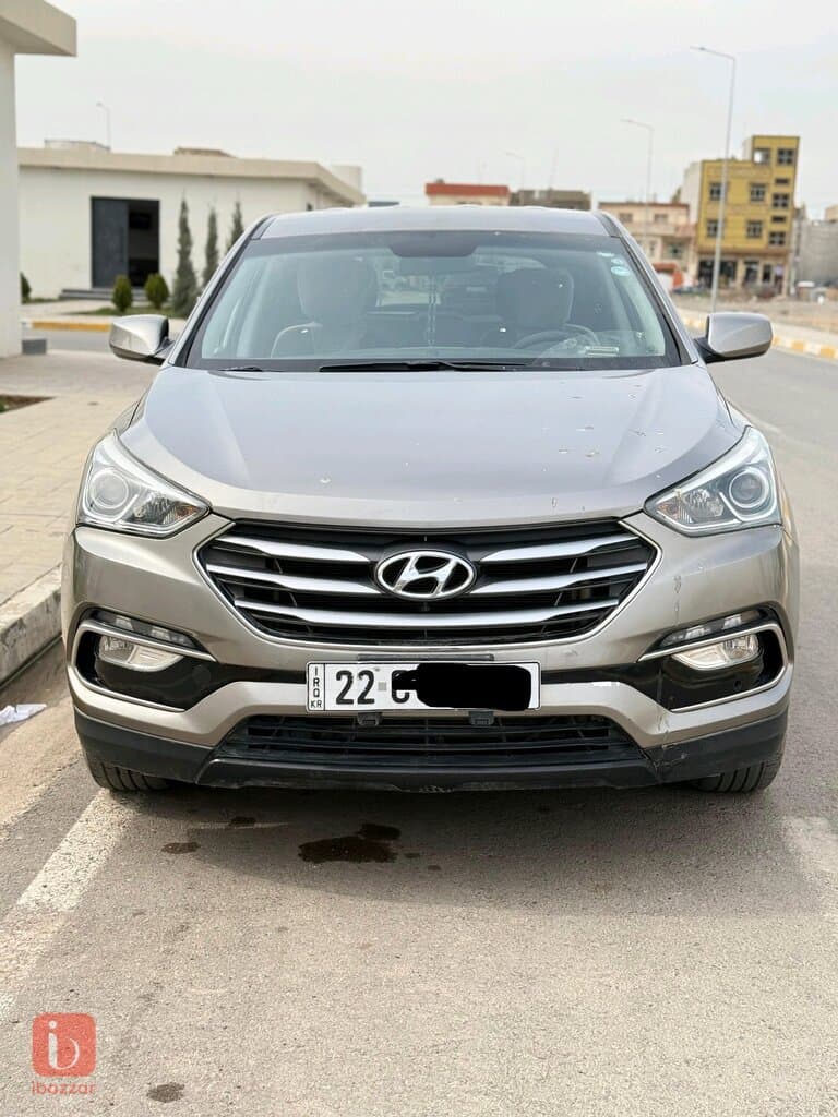 Hyundai Santa Fe Standard 2