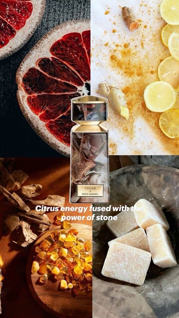 Bvlgari Tygar x Refik Anadol - EDP (125ml) 3