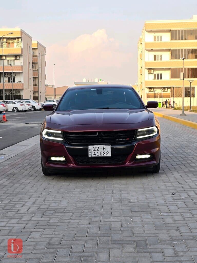 Dodge Charger Rallye 1