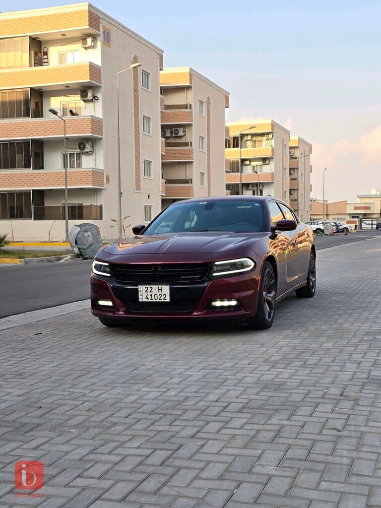 Dodge Charger Rallye 2