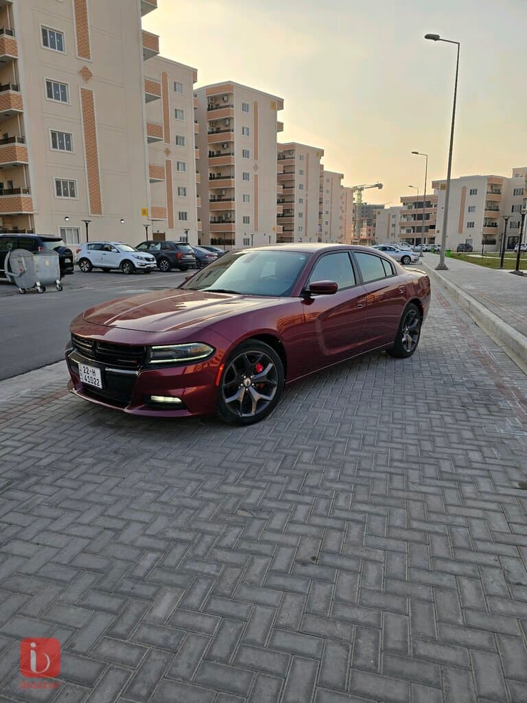 Dodge Charger Rallye 4