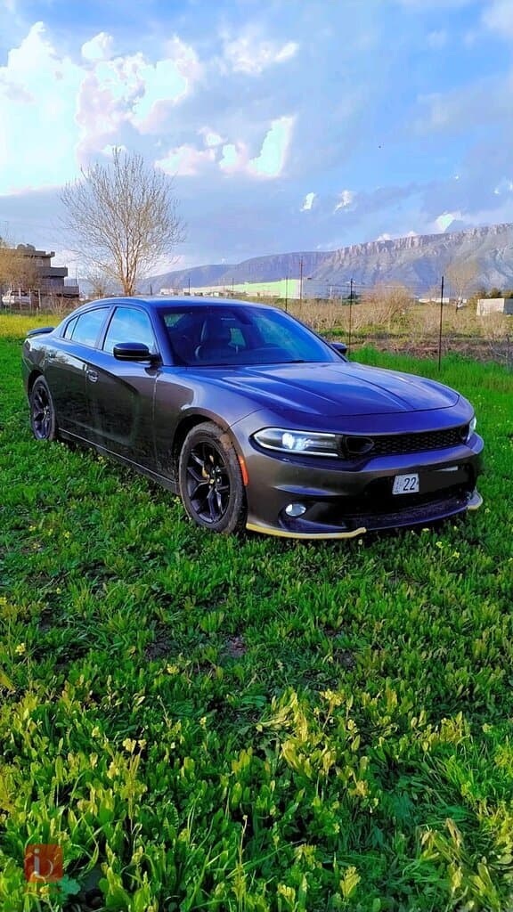 Dodge Charger SXT 1