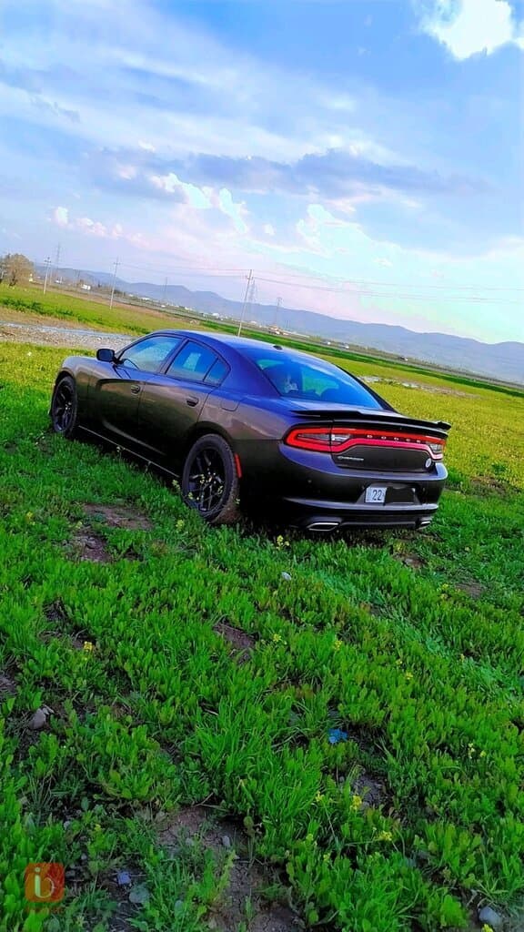Dodge Charger SXT 5