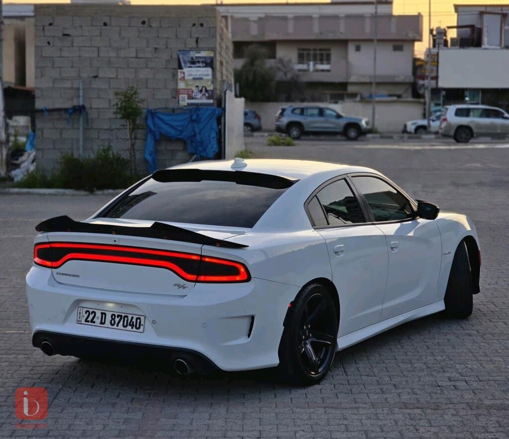 Dodge Charger R/T 6