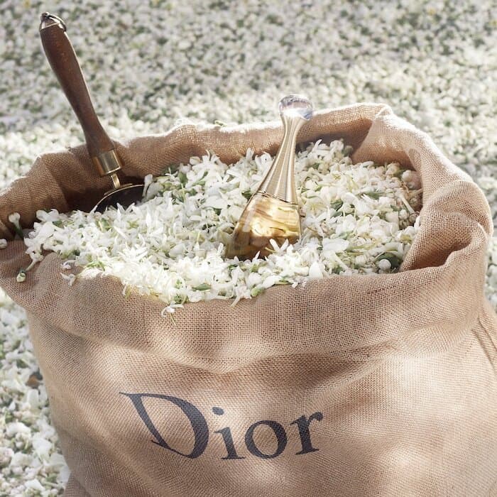 Dior J'adore - EDP (100ml) 2