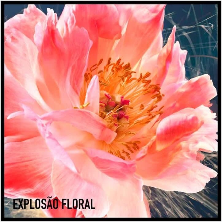 Dior JOY by Dior Intense - EDP Intense (50ml) 5