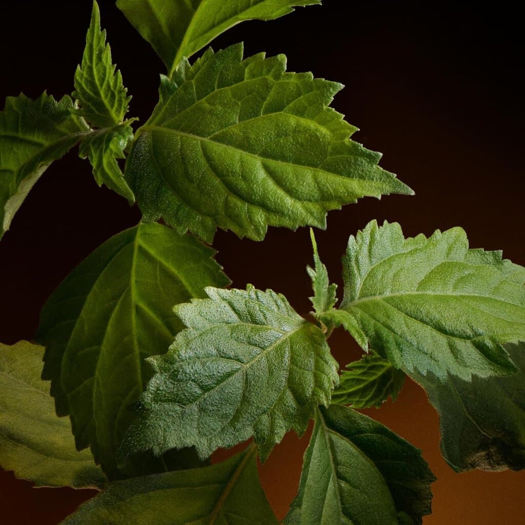 Dolce & Gabbana The One Gold Intense - EDP Intense (100ml) 6