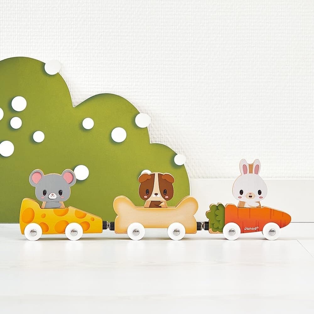 Janod Pets Magnetic Wooden Animal Car Train 5