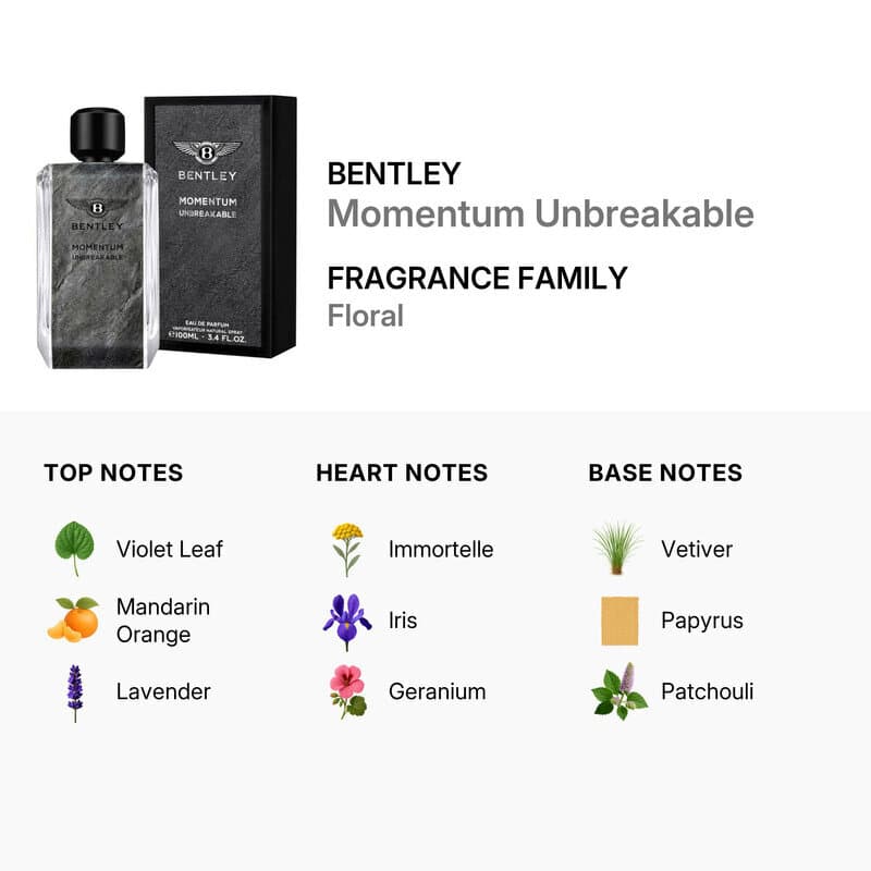 Bentley Momentum Unbreakable - EDP (100ml) 2