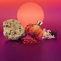 Lalique Soleil Lunar - EDP (100ml) 2