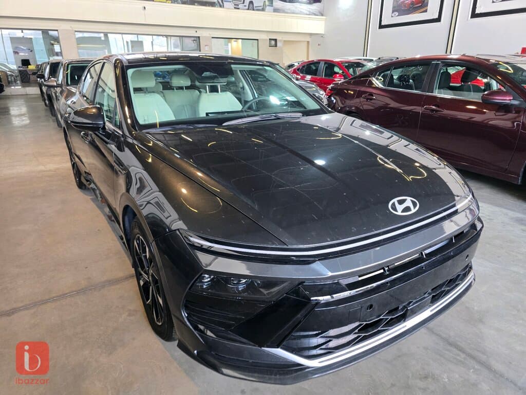 Hyundai Santa Fe 1
