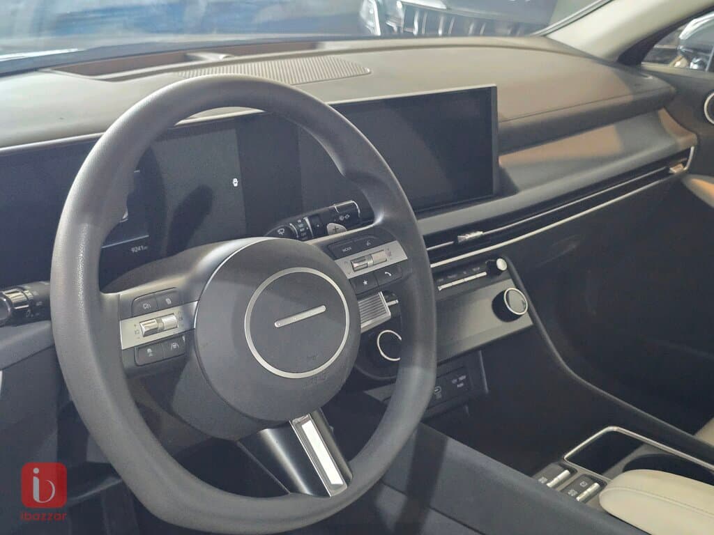 Hyundai Santa Fe 7